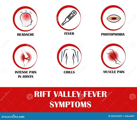 Rift Valley Fever Symptoms, Icon of Headache, Fever, Photophobia ...