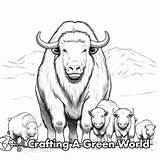 Musk Ox Coloring Pages  Free & Printable sketch template