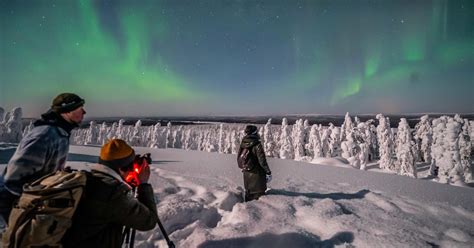 Rovaniemi: Discover the Northern Lights Photography Tour | GetYourGuide