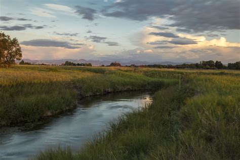 Top 5 Montana Trout Fishing Rivers - Hall and Hall