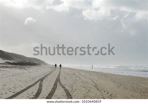 North Sea Froth On Beach Winter Stock Photo 1010640859 | Shutterstock