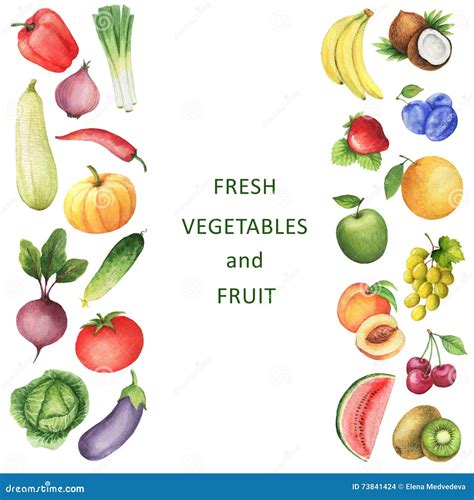 Watercolor Collection of Vegetables and Fruits. Stock Illustration - Illustration of background ...