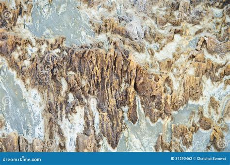 Texture Of Sedimentary Rock Stock Photography - Image: 31290462