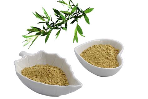 White Willow Bark Extract standardized to 25% Salicin