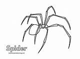 Spider Shapes Coloring Pages sketch template