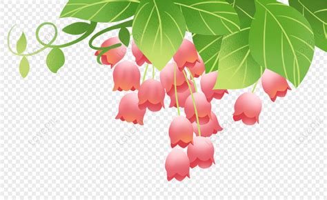 Clipart Vines With Flowers