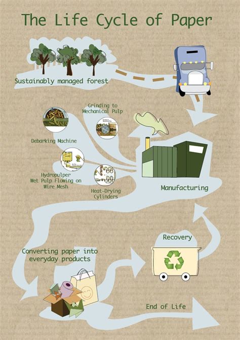 Infographic "The Life Cycle of Paper" by Haly Lai | Life cycles, Life ...