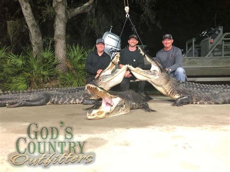 Florida Alligator Hunting - Wild Alligator Hunts