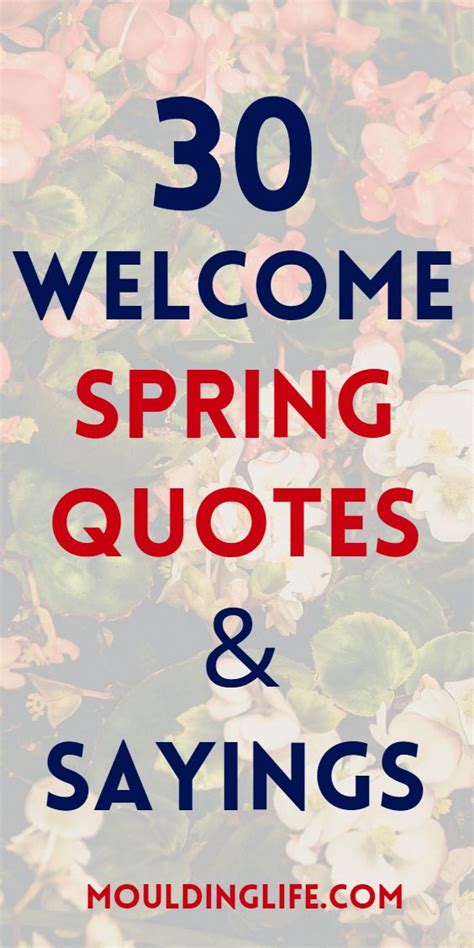 30 Hello Spring Quotes and Sayings | Spring quotes, Hello spring quotes ...