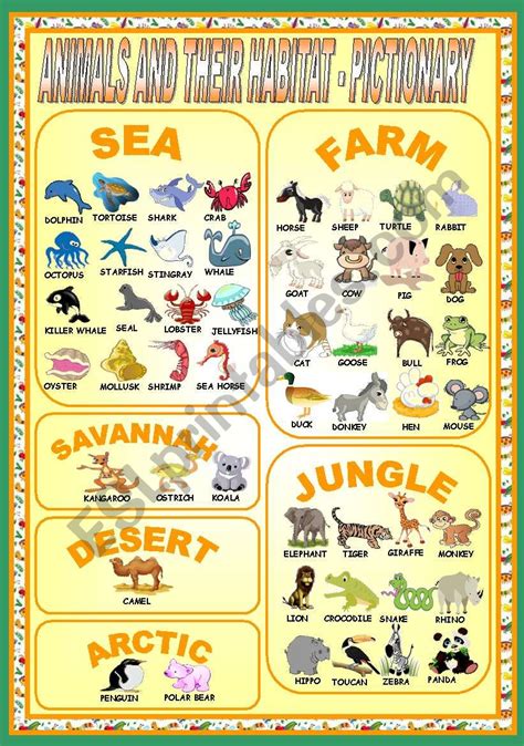 ANIMALS AND THEIR HABITAT - PICTIONARY - ESL worksheet by ag23