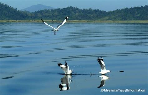 Inndawgyi Lake Wildlife Sanctuary - Myanmar City Star