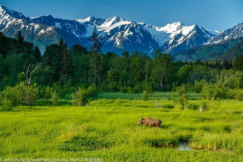 What To Do in Anchorage in the Summer | Best Attractions, Tours