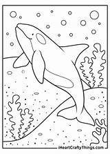 Blue Whale Coloring Pages Printable sketch template