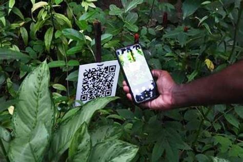Introducing QR Code in Agriculture: Read on to Know the benefits of QR Codes for Agribusiness ...