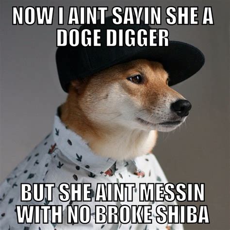 Doge digger. : r/doge