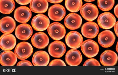 Cells Group Image & Photo (Free Trial) | Bigstock