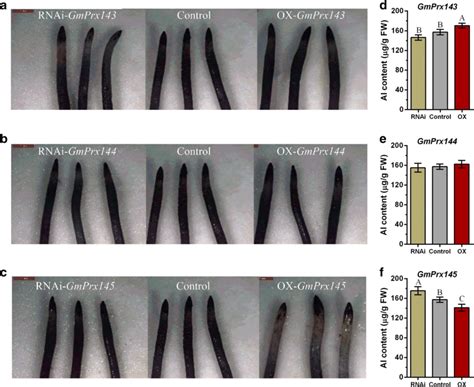 Haematoxylin staining and Al content of hairy roots. Haematoxylin... | Download Scientific Diagram