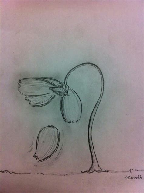 a drawing of a flower on a piece of paper that is drawn with black marker