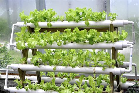 Hydroponic Systems - Home Grown Farm