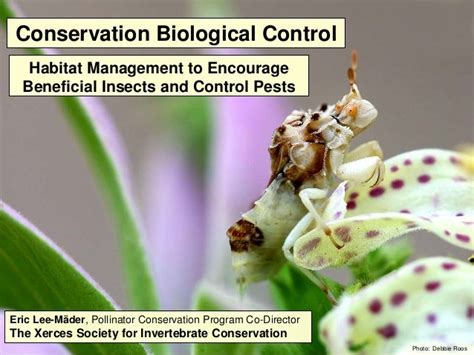 Xerces Soceity Marcus Miller Presentation on Biological Control Habit…