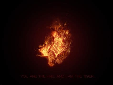 Fire Tiger by slipie on DeviantArt