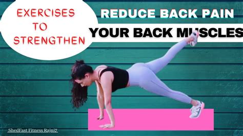 Exercises To Strengthen The Back Muscles | Back Pain Relief Exercises & Stretches | ShedFast Fitness