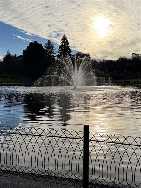 A Visit to Walnut Creek's Heather Farm Park - Bay Area Telegraph