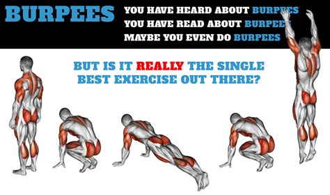 Burpees | What muscles do Burpees work and Burpees Exercises and Benefits (Nov. 2023)