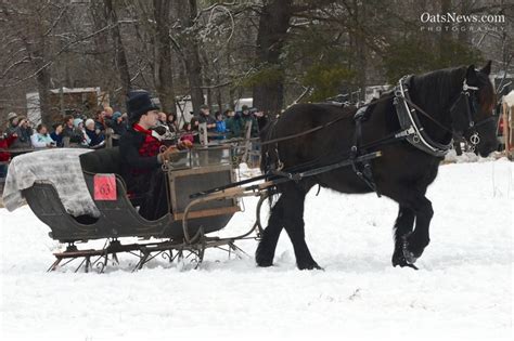 See the dog in the sleigh?! | Sleigh ride, Dashing through the snow, Sleigh