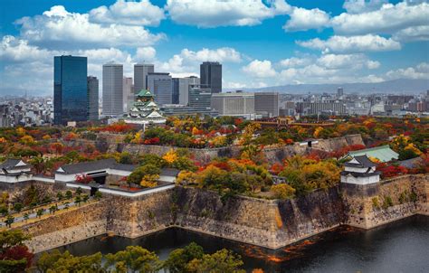 Wallpaper trees, Park, castle, building, Japan, Japan, skyscrapers ...