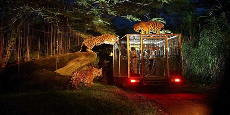 BALI SAFARI AND MARINE PARK TOUR | JUNGLE HOPPER, RHINO AND NIGHT SAFARI PACKAGES