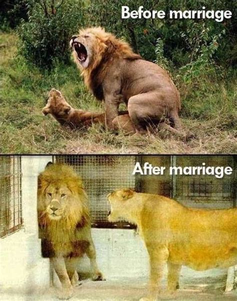 The Funniest "Before and After" Memes Ever