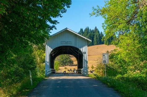 The Tiny Town Of Philomath, Oregon Is A Culinary Paradise in 2020 | Oregon wine country, Oregon ...