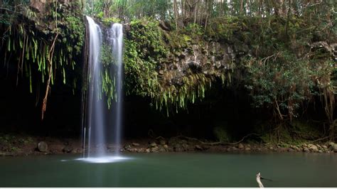 The Best Maui Waterfalls: You've Gotta Check These Out!