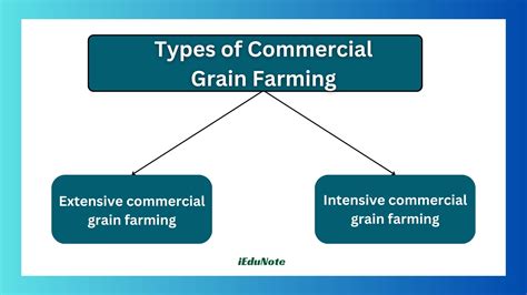 Commercial Grain Farming: Methods and Benefits