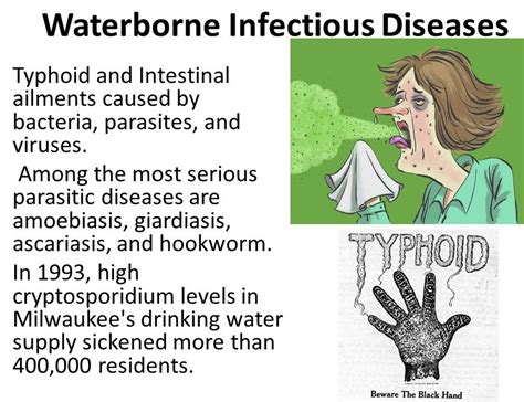 Waterborne Diseases | Health education and awareness