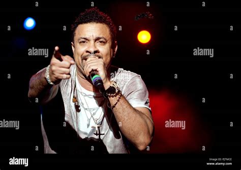 Shaggy Singer High Resolution Stock Photography and Images - Alamy