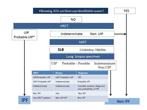 Medical Sciences | Free Full-Text | Diagnosis of Idiopathic Pulmonary ...