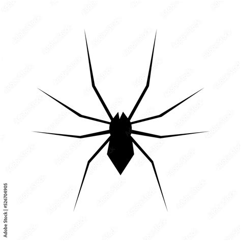 Spider Black Widow. Black bug spider silhouette, isolated white background Stock Illustration ...