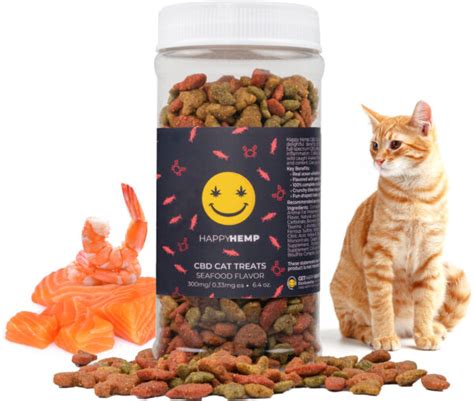 CBD For Cats: Unlocking The Benefits And Ensuring Safe Use