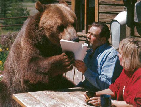 Tank the Bear - Wasatch Rocky Mountain Wildlife