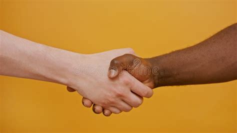 Close Up of a Handshake. Black and White Hand, Interracial Friendship and Cooperation Concept ...