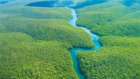 Vídeo mostra que maior área de proteção ambiental do mundo é brasileira