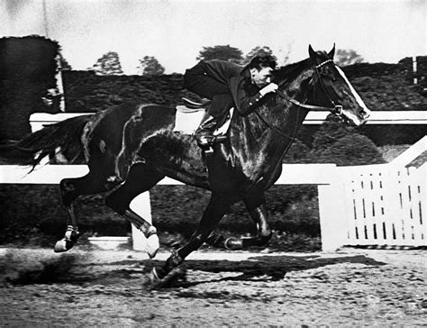 Horse racing's Triple Crown winners through the years - ABC News