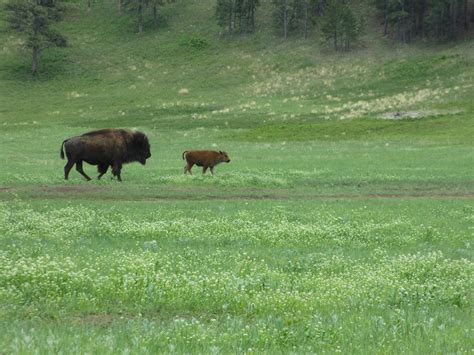 Don's travels 2013: Spearfish, South Dakota