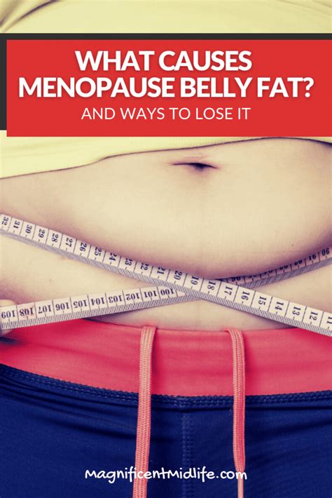 What Causes Menopause Belly Fat? (And Ways To Lose It) - Magnificent ...