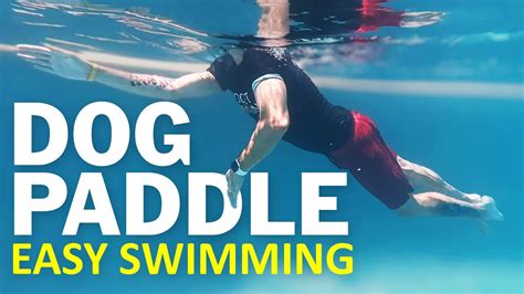 Doggy Paddle Swimming Technique For Beginners | Breathe Easily by ...