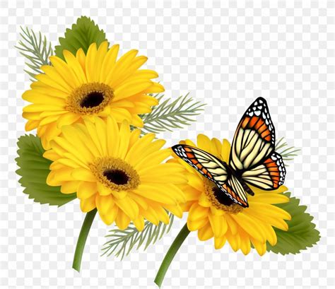 Butterfly Flower Yellow Clip Art, PNG, 4410x3808px, Butterfly, Annual ...