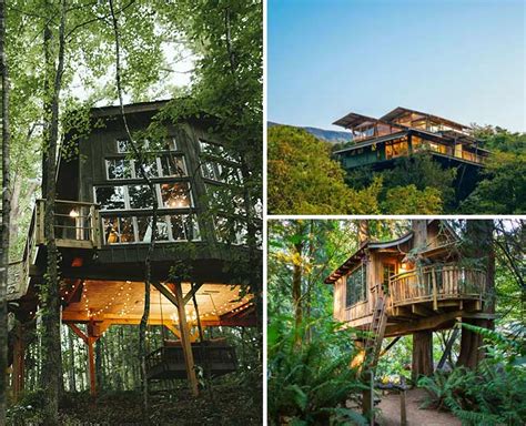 7 Tree Houses In India That Will Take You Back Into Your Childhood Days | HerZindagi