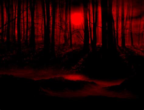 Dark Red Forest Background